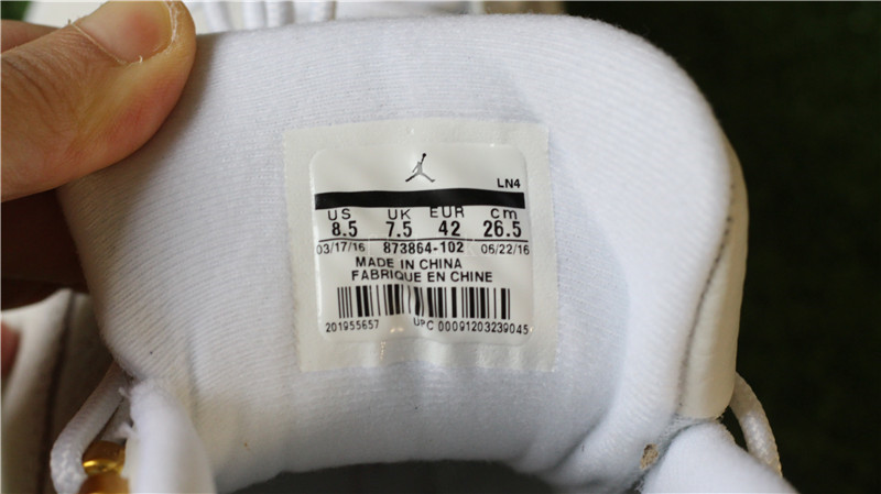 Air Jordan 12 White OVO New